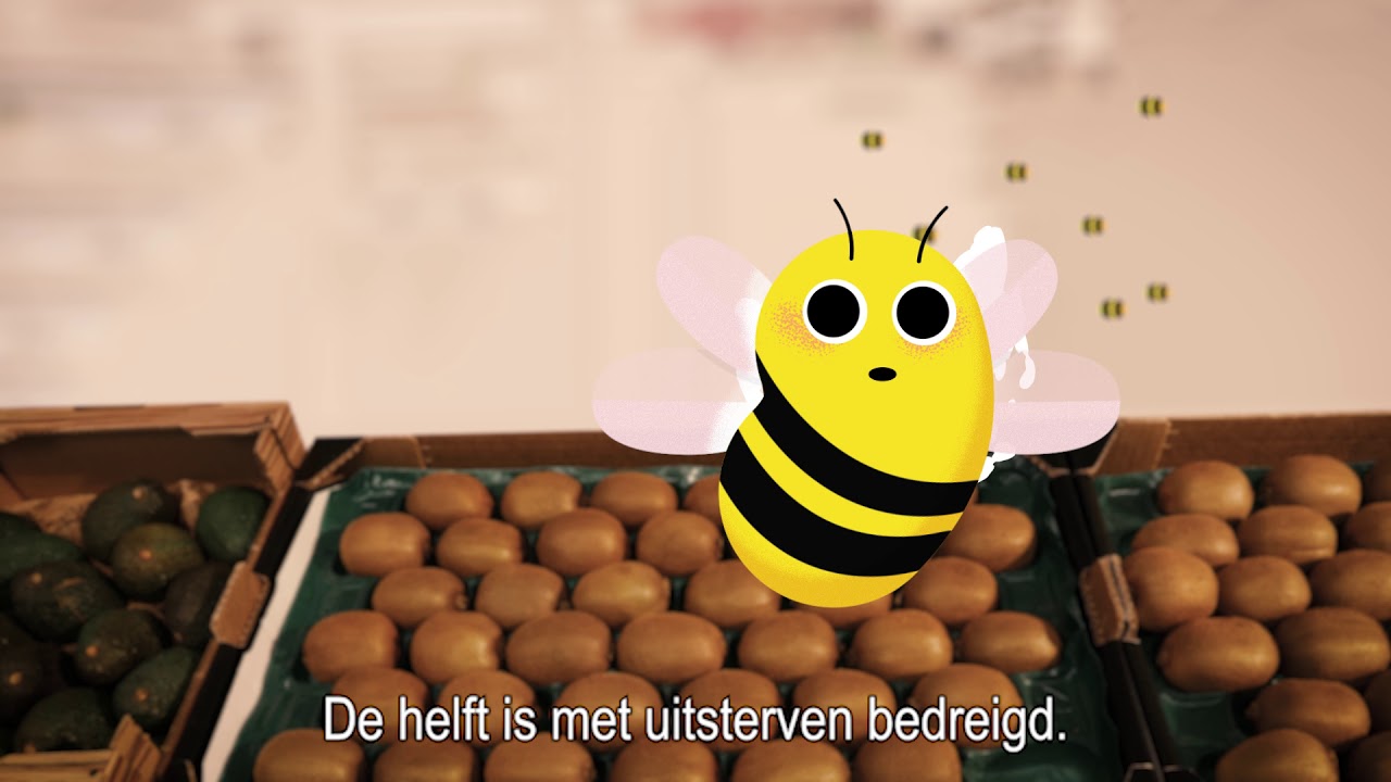 Hoe ziet de winkel eruit zonder wilde bij? | Nederland Zoemt en Lidl