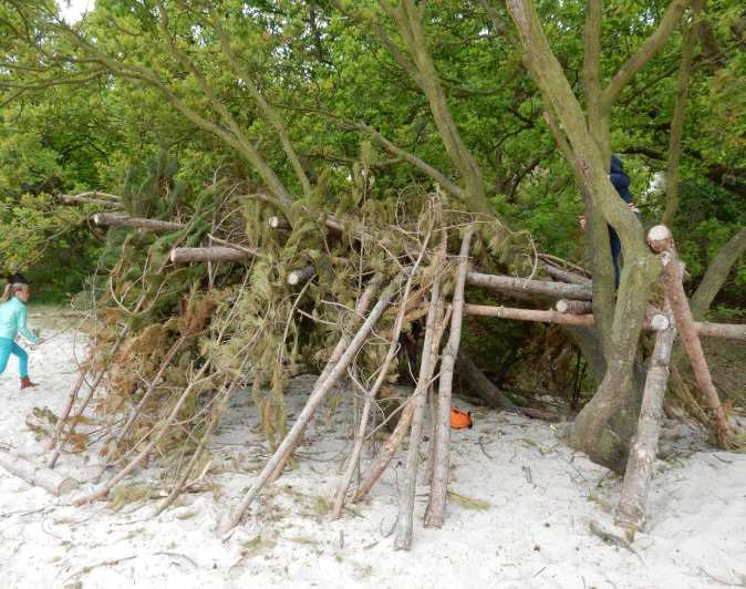 Overleven in de natuur