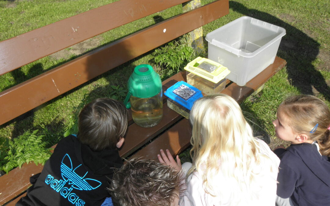 Natuurles op en bij school