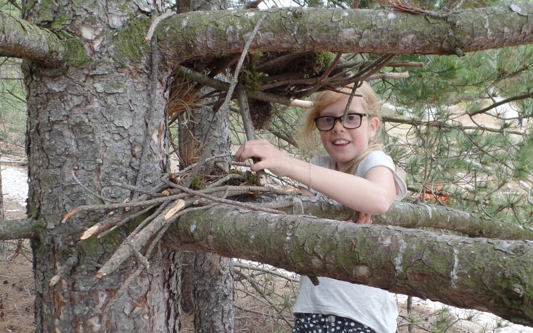Bosuitje, een schoolreisje in de Schoorlse Duinen