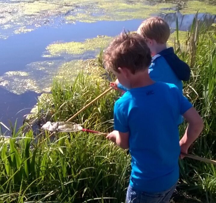 Kriebelbeestjes in en buiten het water
