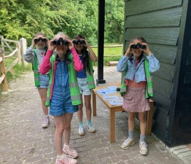 vogels (2)