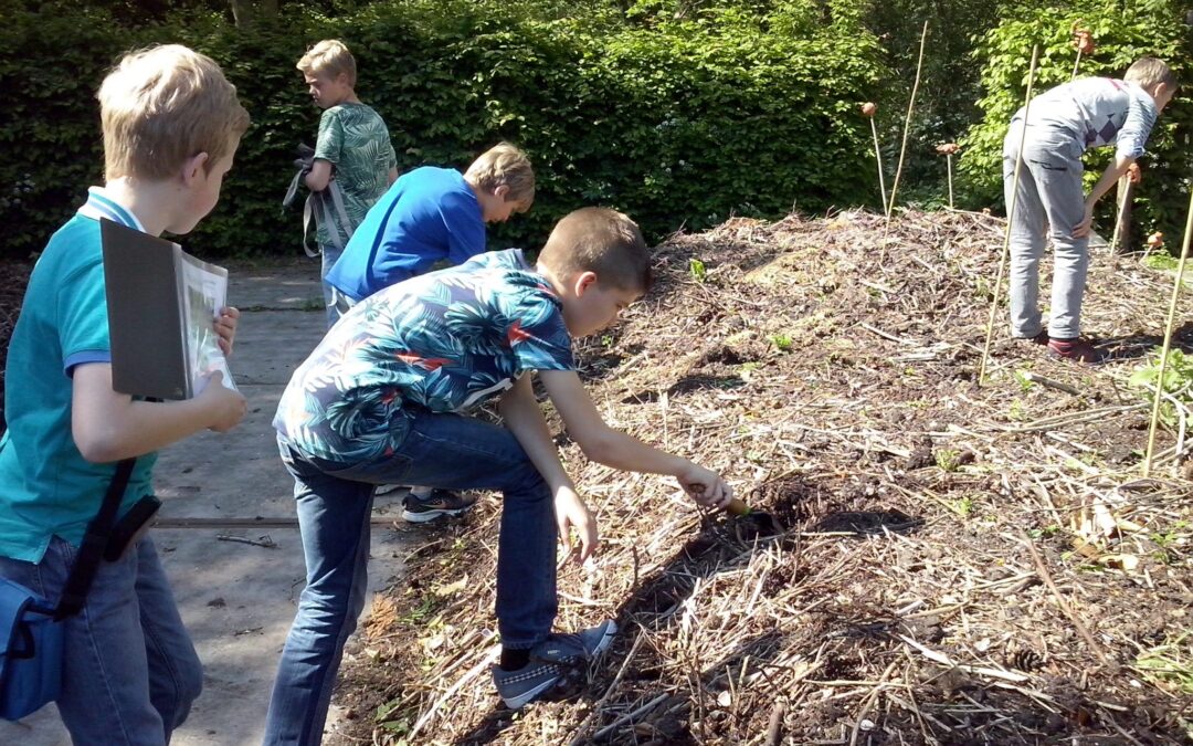 Bodemdiertjesles bij Hortus Alkmaar