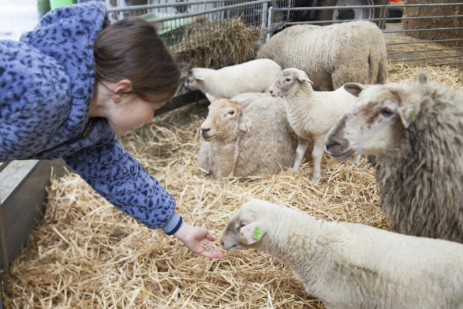 Jonge dieren – speurtocht