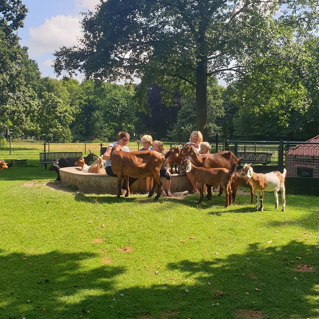 Kom naar de Stadsboerderij De Hout Natuurgids Alkmaar