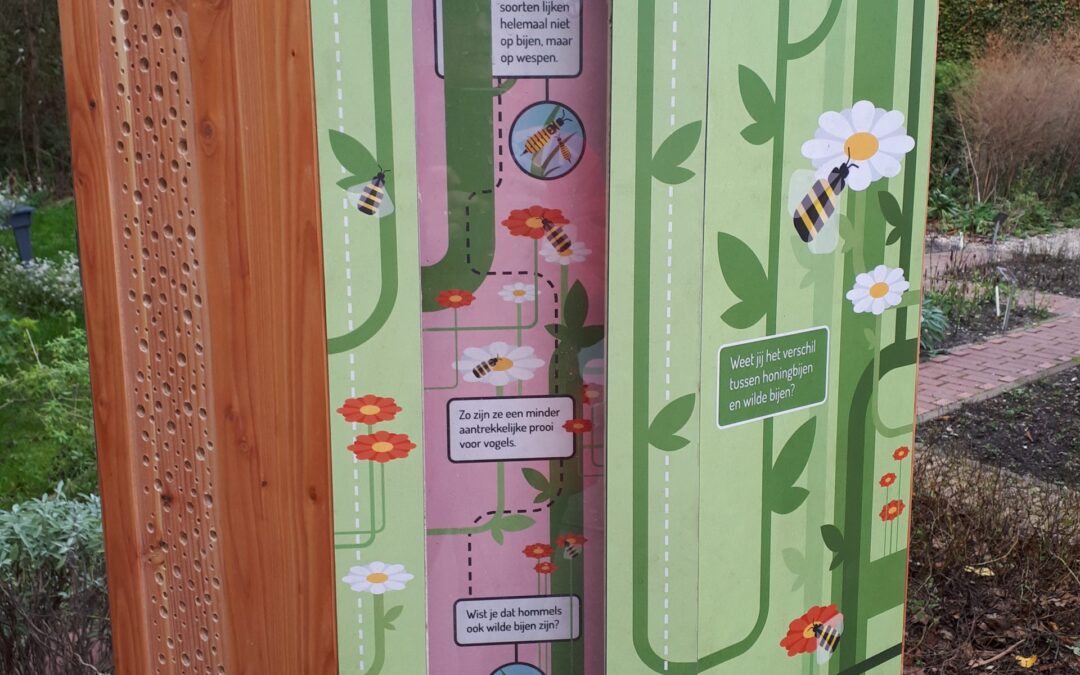 Bijen, hommels, wespen, zweefvliegen, vlinders