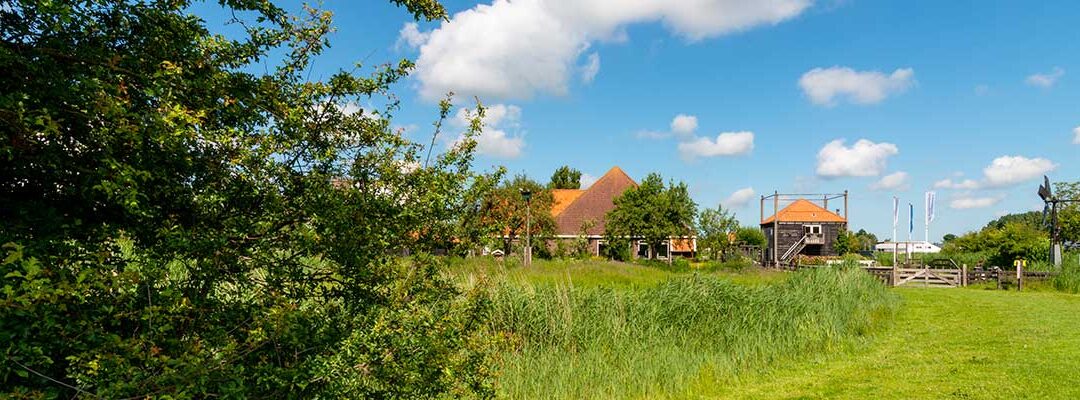 Juffen- of meesterverjaardag