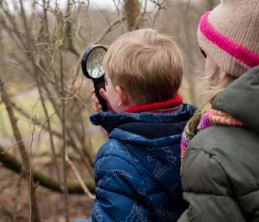 natuur in de winter 1
