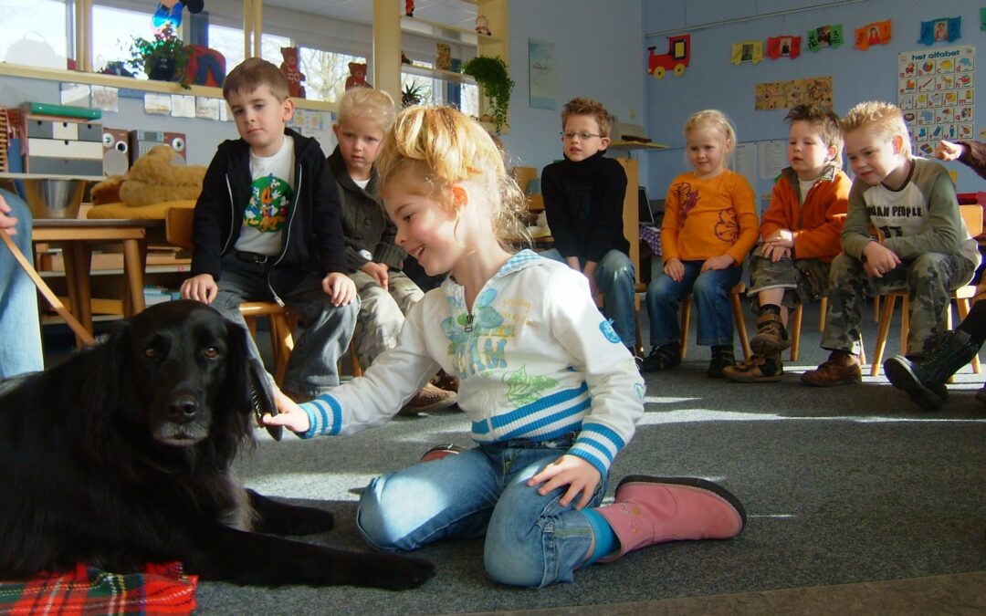 Hond in de klas