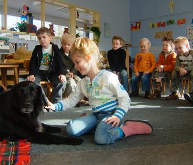 Hond in de klas_goedgekeurde_foto