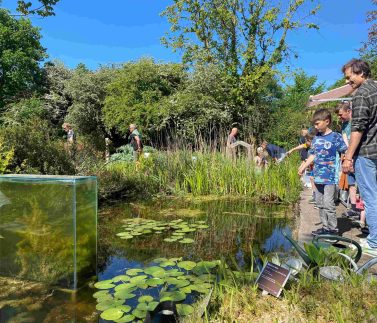 Bekijk het waterleven in de vijver van Hortus Alkmaar