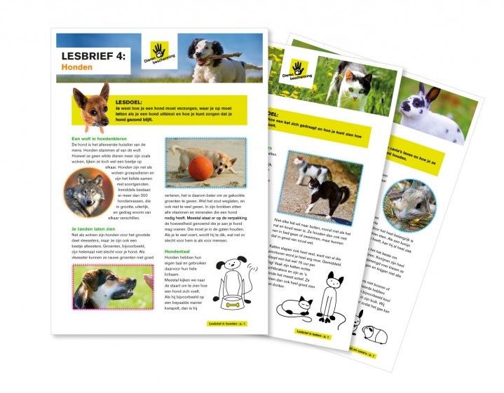 natuurgids-alkmaar-dieren-dierenwelzijn-04