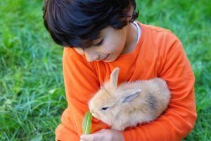 natuurgids-alkmaar-dieren-dierenwelzijn-06