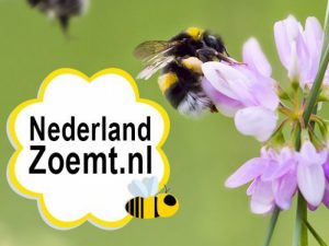 Logo_Nederland_Zoemt-300x225