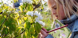 Nederland_Zoemt_meisje-1-300x148