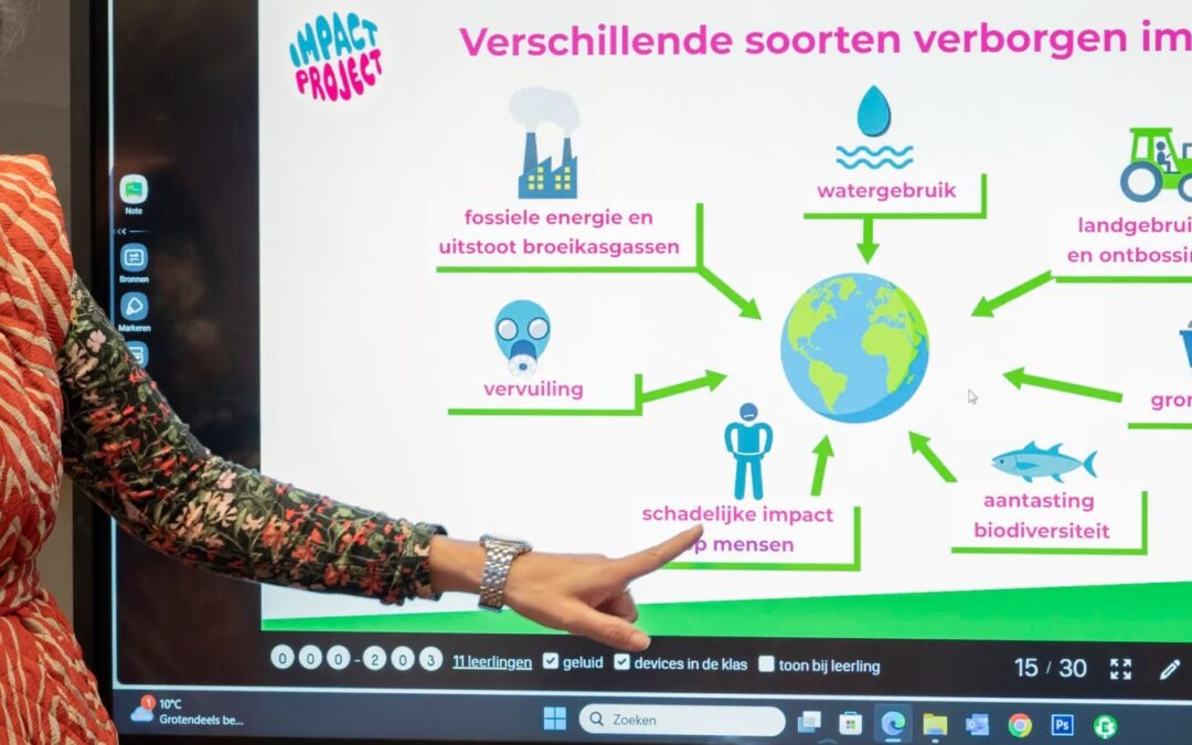 Impact Project, lessen over duurzaamheid