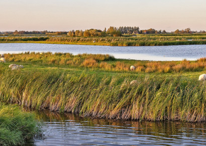 202308 Eilandspolder HansvanWeel 20 jpg compressed
